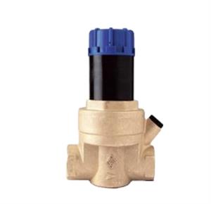 Riduttore di Pressione Acqua Per Linee PN 40 a  Pistone D.1  S/Boc.