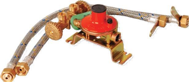 Minicentralina Gas Bombola C/Valvola Flex e Rubinetti Kg 4 con Flex